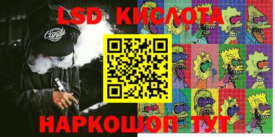крисы Абакан