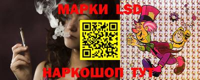 крисы Абакан