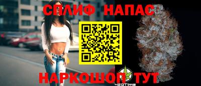 крисы Абакан