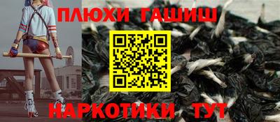 крисы Абакан