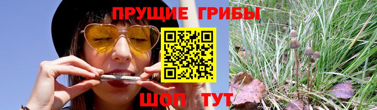 Галлюциногенные грибы прущие грибы Анапа